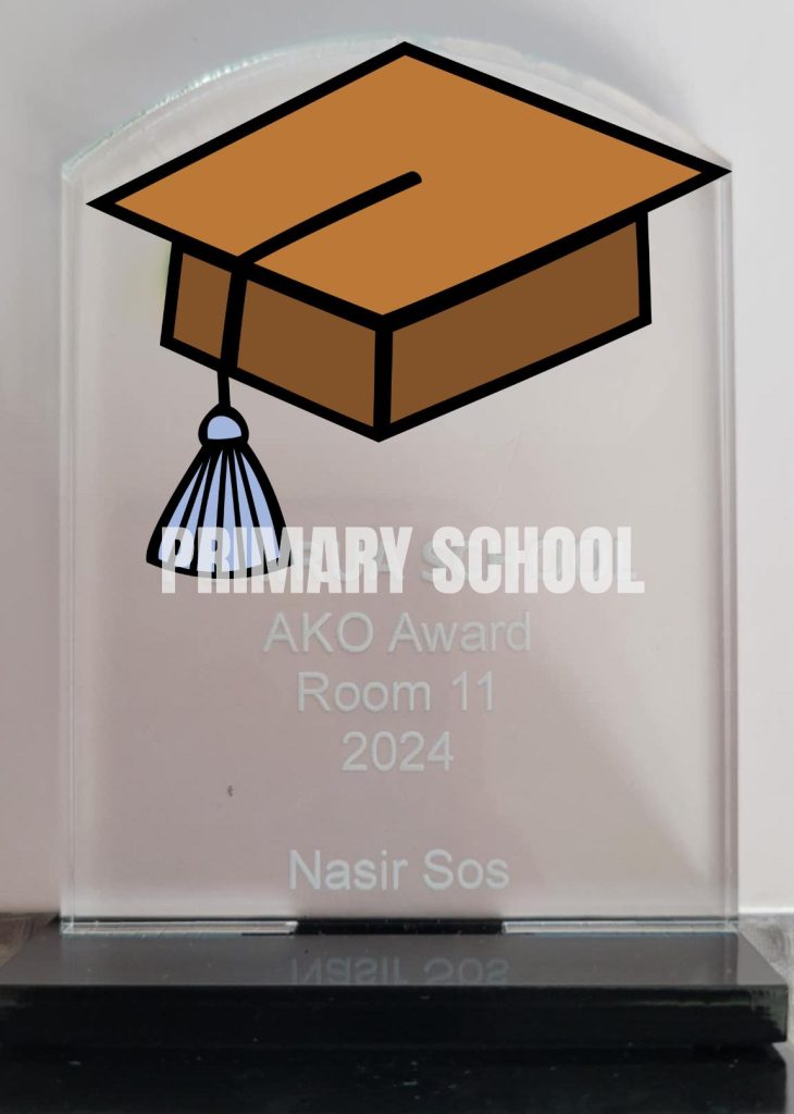 Helping Developmental Delays in School: Award